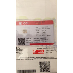 Saphir jaune non chauffé non traité 1.12cts certificat CGL