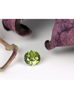 Granato demantoide 1,31...