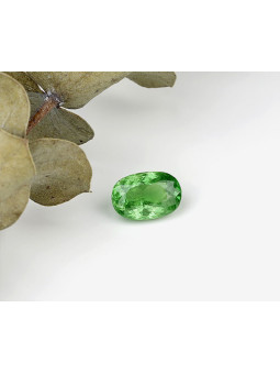 Granato Tsavorite 3,66...