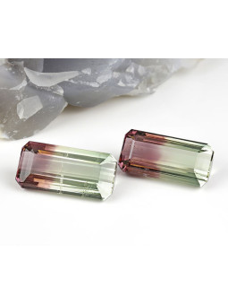 Coppia di tormaline melone...