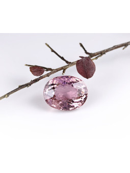 copia de copia de Granate...