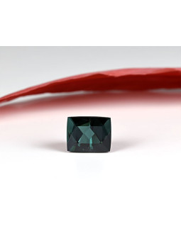 Kopie von Kopie von...