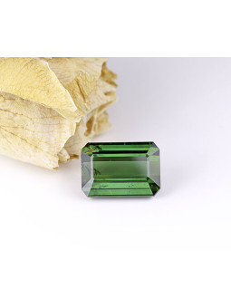 Tormalina verde 19,21...