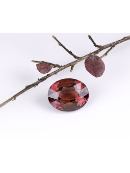 Turmmalina rosa da 13,76...