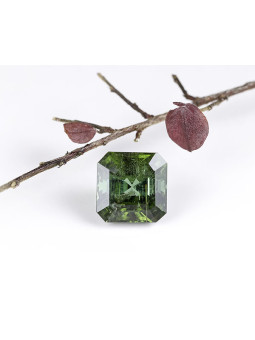 Tormalina verde da 13,64...