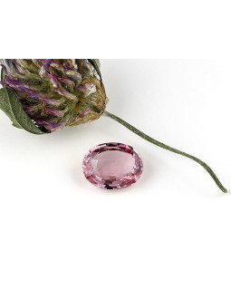 Espinela rosa no tratada...